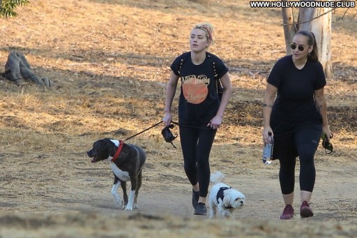 Amber Heard Beautiful Celebrity Posing Hot Sexy Straight Babe